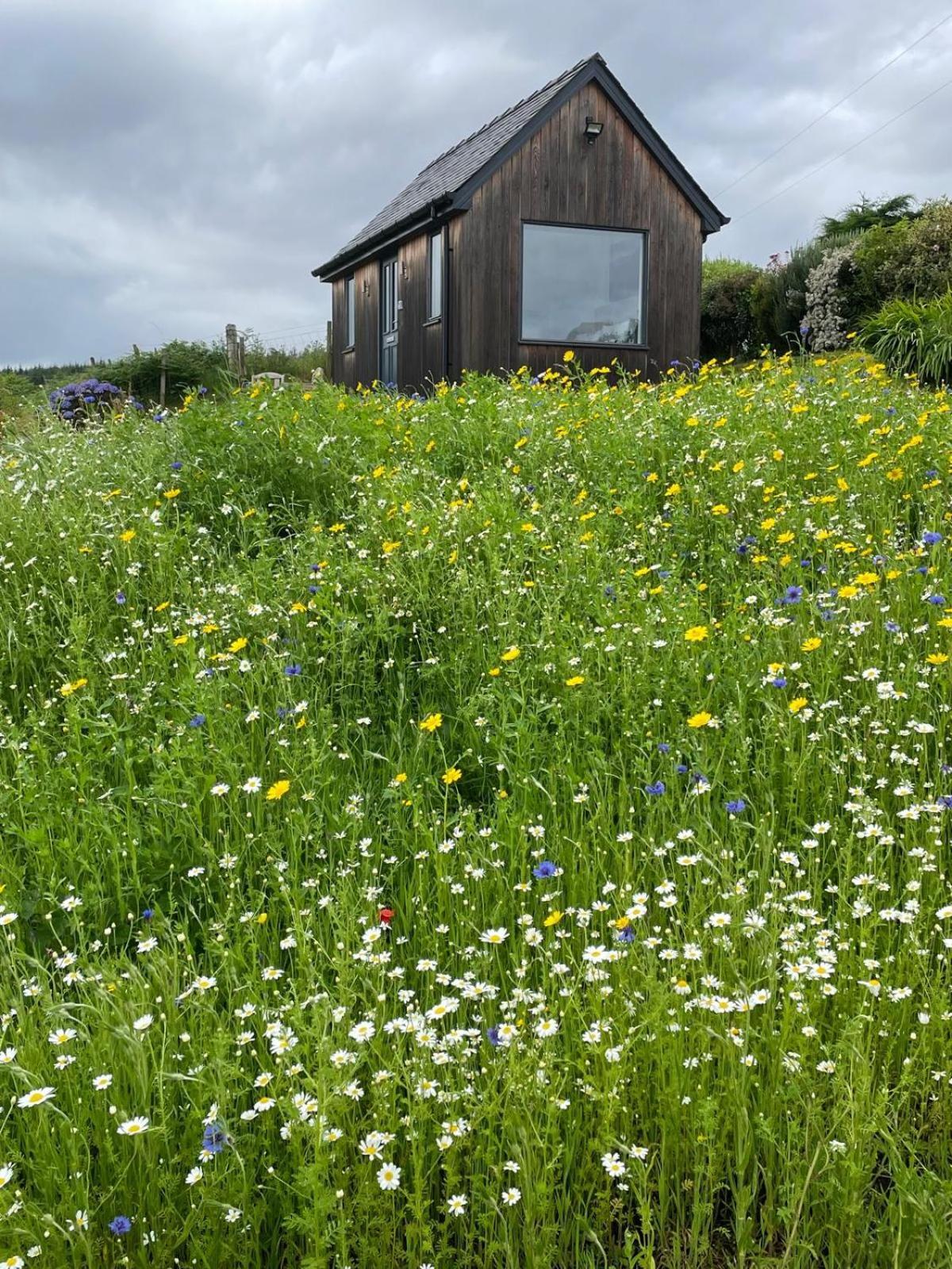 Elfin Cottage 波特里 外观 照片